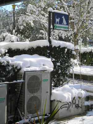 Χιόνια και στο κλιματιστικό του κτηνιατρείου