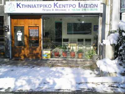 Χιονισμένη πρόσοψη Κτηνιατρικού Κέντρου Ιλισίων