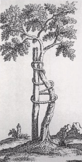 Δέντρο προσδεδεμένο σε ράβδο  για να αναπτυχθεί ίσια ο κορμός του.  L' orthopédie, Nicolas Andry.  Το σύμβολο αυτό του δέντρου με τη ράβδο  χρησιμοποιείται συχνά ως έμβλημα  από ορθοπεδικές εταιρείες και οργανισμούς.